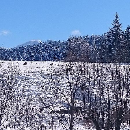 La Ferme Du Bois Barbu Hotel วียาร์-เดอ-ล็อง ภายนอก รูปภาพ