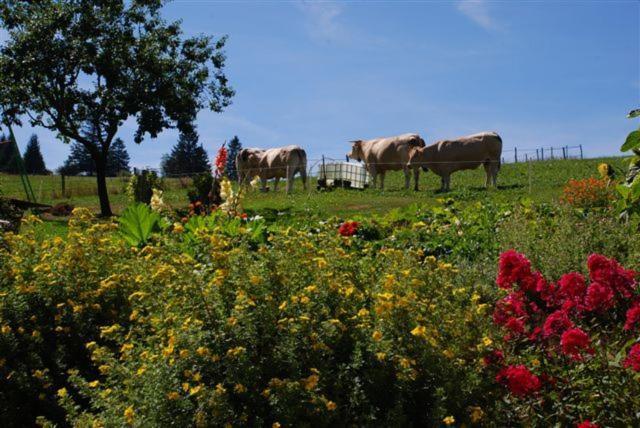 La Ferme Du Bois Barbu Hotel วียาร์-เดอ-ล็อง ภายนอก รูปภาพ