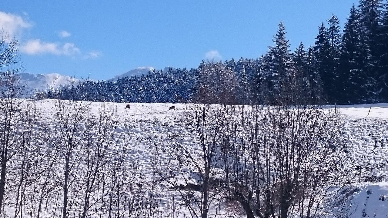 La Ferme Du Bois Barbu Hotel วียาร์-เดอ-ล็อง ภายนอก รูปภาพ